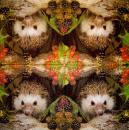 007 Animals Autumn - Ambiente